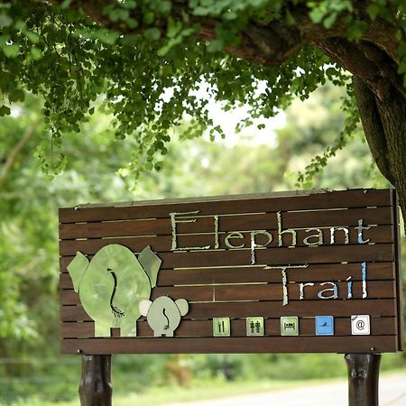 Elephant Trail Udawalawe Eksteriør bilde