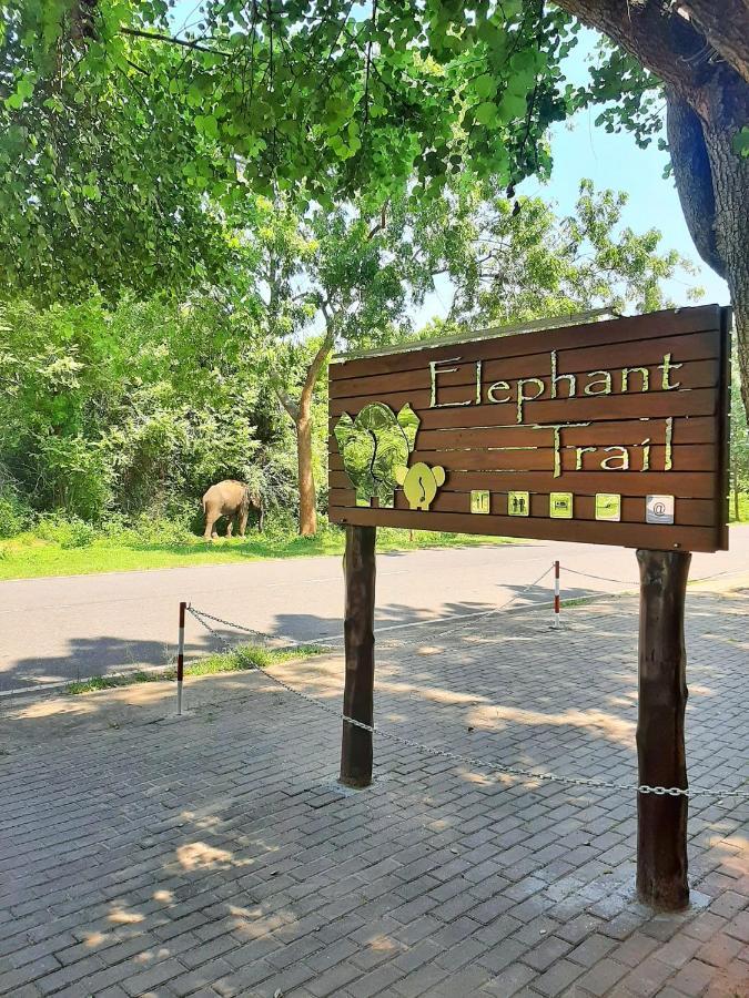 Elephant Trail Udawalawe Eksteriør bilde