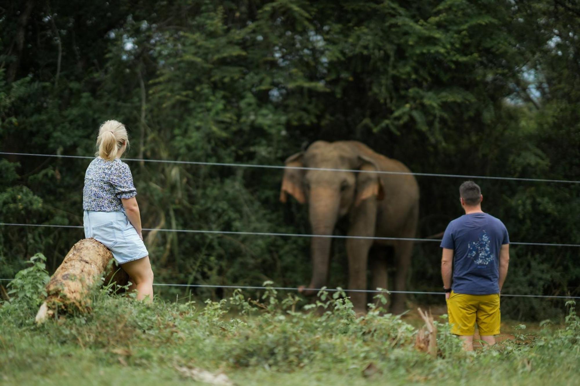 Elephant Trail Udawalawe Eksteriør bilde